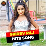 Sridev Raj Hits Song Album Download