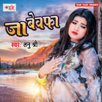 Jaa Bewafa Album Download