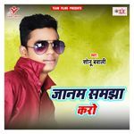 Jaanam Samjha Karo Album Download