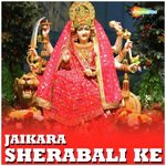 Shushil Songs MP3 Download