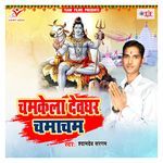 Chamkela Devghar Chamacham Album Download