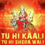Tu Hi Kaali Tu Hi Shera Wali Album Download