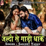 Jaldi Se Gaadi Dhake Album Download