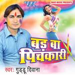 Bad Ba Pichkari - Guddu Diwana Song Download