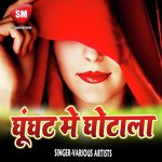 Ghunghat Me Ghotala - Bhim Bahar Song Download