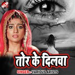Tor Ke Dilwa - Ravi Kumar Song Download