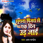 Sugna Pinjada Se Ek Din Udd Jayi Album Download