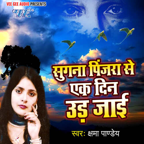 Sugna Pinjada Se Ek Din Udd Jayi Chhama Pandey MP3 Download