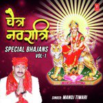 Chaitra Navratri Special Bhajans Vol 1 MP3 Download