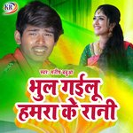 Bhul Gaelu Hamra Ke Rani Album Download