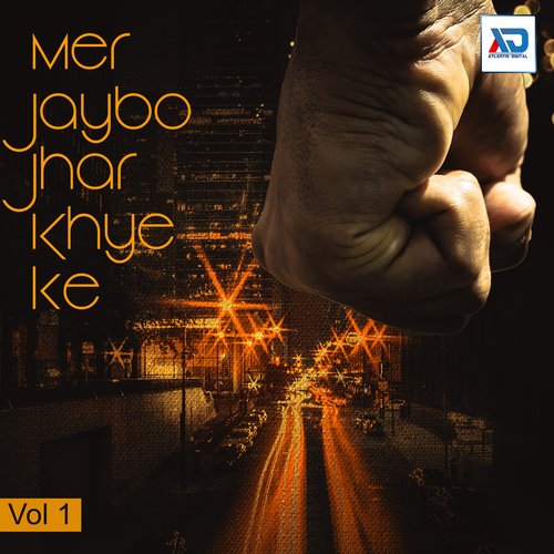 Mer Jaybo Jhar Khye Ke, Vol. 1 Bansidhar Chodri MP3 Download