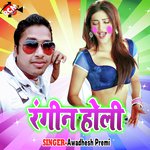 Rangin Holi MP3 Download