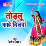 Todalu Kahe Dilwa - Pappu Singh Song Download