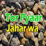 Tor Pyaar Jahar Wa - Raj Rajdhani Song Download