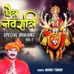 Chaitra Navratri Special Bhajans Vol 2 MP3 Download