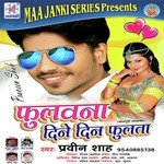 Fulavana Dine Din Fulata Album Download