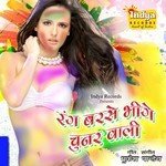 Rang Barse Bhinge Chunar Wali Album Download
