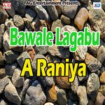 Bawale Lagabu A Raniya - Birbal Balmuaa Song Download