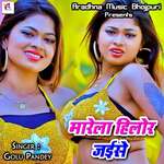 Marela Hilor Jaise Album Download