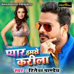 Pyar Hamase Karila Album Download