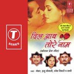 Dil Aab Tore Naam Album Download