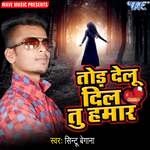 Tod Delu Dil Tu Hamar Album Download