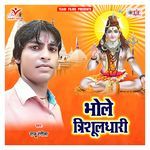 Bhole Trishuldhari Album Download