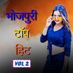भोजपुरी टॉप हिट (vol 2) Album Download