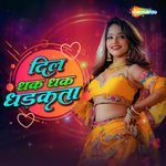 Dil Dhak Dhak Dhadkta Album Download