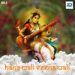 Hans Wali Veena Wali, Vol. 3 - Guddu Diwana Song Download