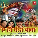 Ae Ho Panda Baba - Anuradha Paudwal Song Download