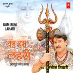 Bum Bum Lahari Album Download