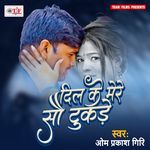 Dil Ke Mere Sau Tukde Album Download