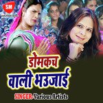 Domkach Wali Bhojai Album Download