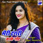 Meri Tangari Kake Got - Sagar Sawariya Song Download