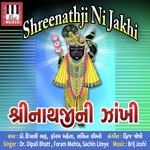 Foram Mehta Songs MP3 Download