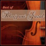 Best Of Bhojpuri Gazal Album Download