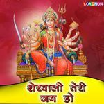 SheraWali Teri Jai Ho Album Download