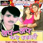 Lup Lup Kare Jawani - Khushboo Tiwari Song Download