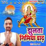 Jhulata Nimiya Dadh Album Download