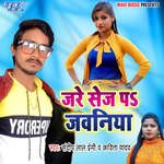 Jare Sej Pa Jawaniya Album Download