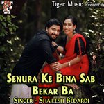 Senura Ke Bina Sab Bekar Ba - Shailesh Bedardi Song Download