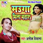 Anil Deewana