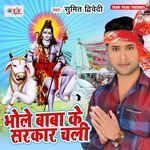 Bhole Baba Ke Sarkar Chali Album Download