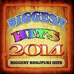 Biggest Hits 2014 Biggest Bhojpuri Hits Album Download