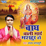 Bagh Wali Mai Mashahur Ho Album Download