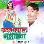 Chadhal Fagun Mahinawa Album Download