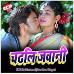 Chadhli Jawani - Chun Chun Chingari Song Download