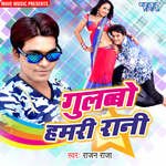 Gulabbo Hamri Rani Album Download