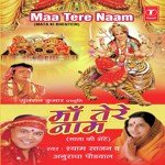 Shyam Sajan Songs MP3 Download